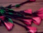 I'll Love you Until the Last Rose Dies