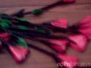 Roses Flogger Review