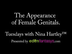 Tuesdays with Nina - The Appearance of Female Genitals.