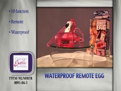 Waterproof Remote Egg Commercial