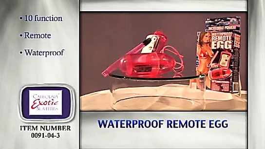 Waterproof Remote Egg Commercial