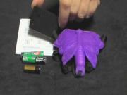 Remote Control Vibrating Butterfly Strap-On Vibrator Review