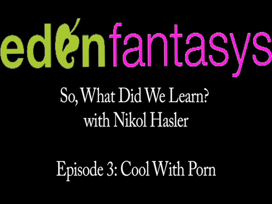 So, What Did We Learn? - Episode 3 : Cool With Porn.