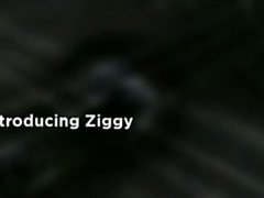 Ziggy Slideshow
