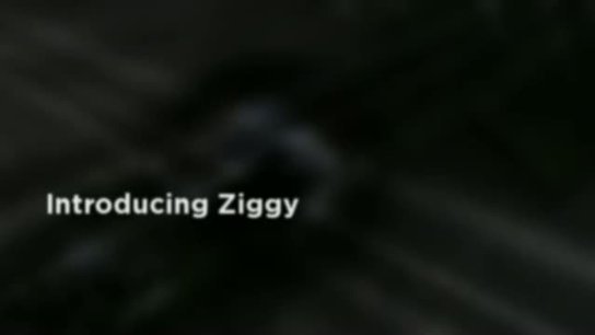 Ziggy Slideshow