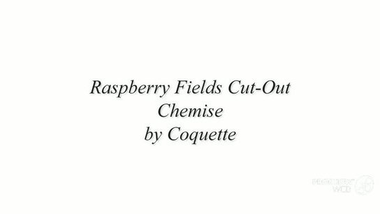 Raspberry Fields Cut Out Chemise Slideshow