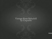 Vintage Rose Chemise Slideshow