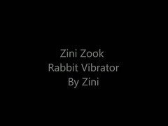 Zini Zook Rabbit Vibrations Slideshow