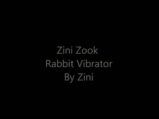 Zini Zook Rabbit Vibrations Slideshow