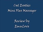 Cal Exotics Mini Flex Massager Review
