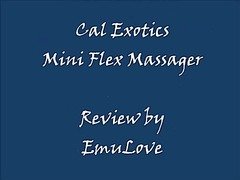 Cal Exotics Mini Flex Massager Review