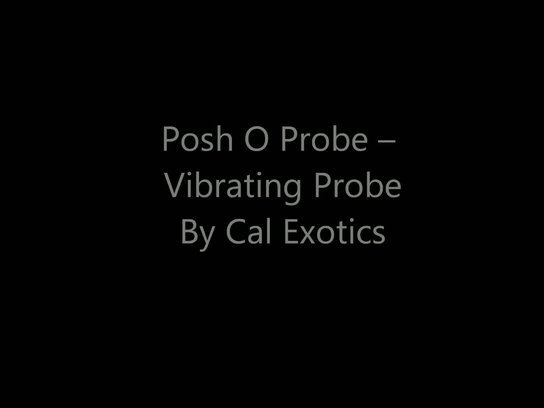 The Posh O Probe Slideshow