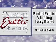 Pocket exotics bullet by Cal Exotics - Commercial