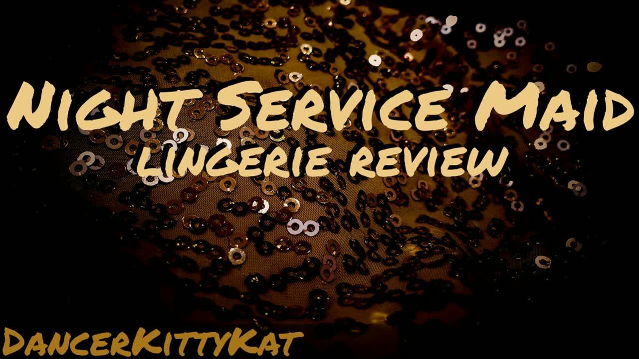 Night Service Maid Lingerie Review
