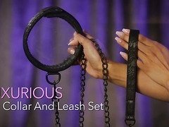 Midnight lace collar and leash by Sportsheets - Commercial