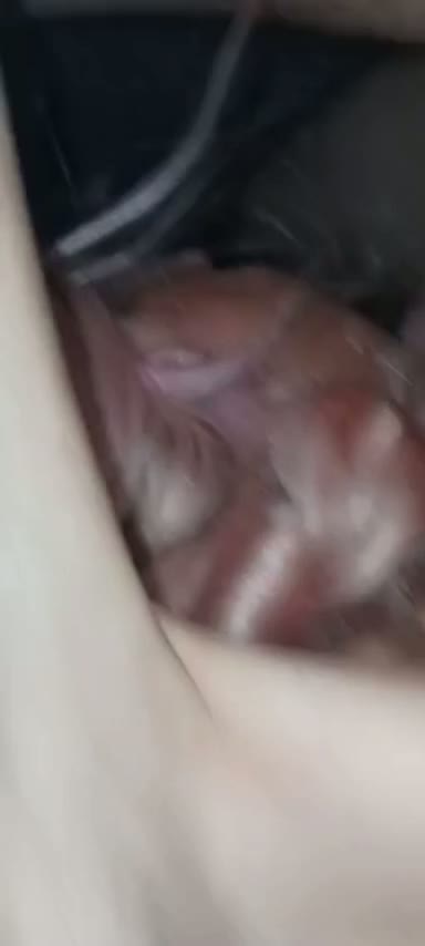 I love this flavour dick lick and getting fucked at the same time