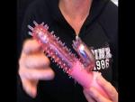Behold the Pink Cactus!