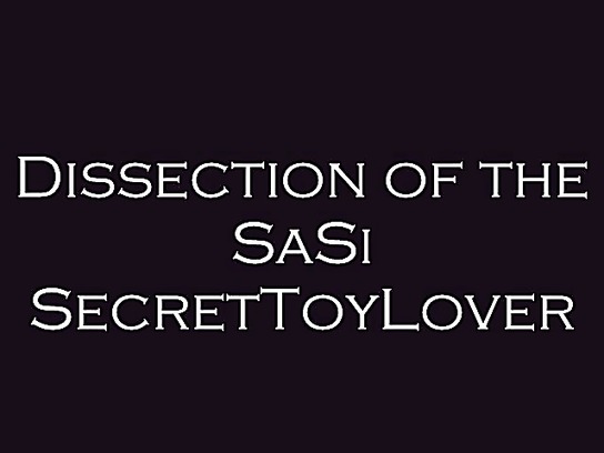 SaSi Review and Dissection