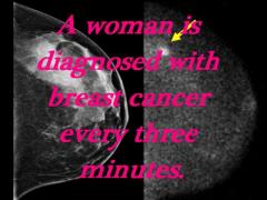 Breast Cancer Awareness Month - CherryRedPrincess