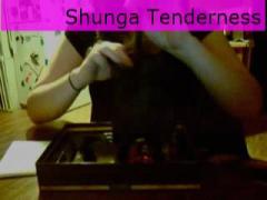 Shunga Tenderness and Passion Sensual Kit Collection Review