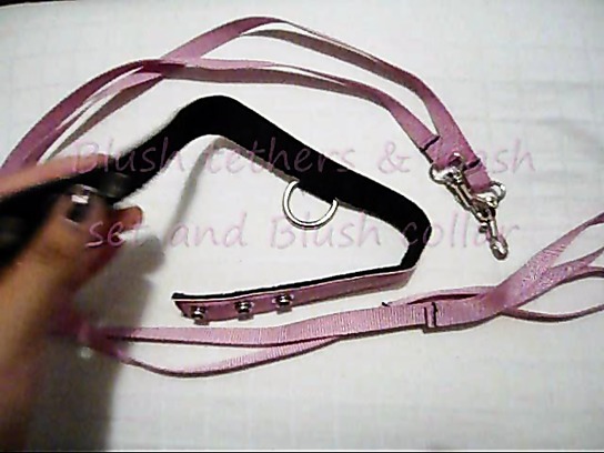 Blush Collar, Tethers, and Leash Set Review