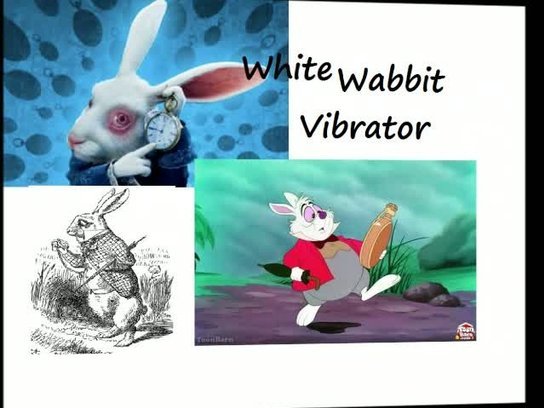 The White Wabbit Wonderland Vibrator Review