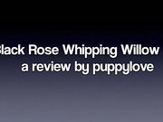 Black Rose Whipping Willow Whip Review