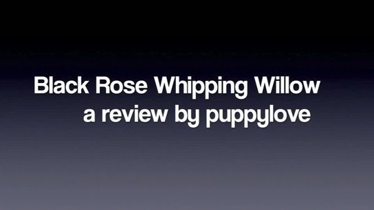 Black Rose Whipping Willow Whip Review