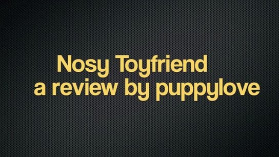 Nosy Toyfriend G-Spot Vibrator Review