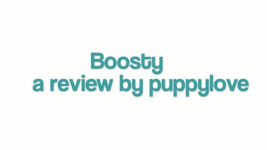 Boosty Butt Plug Review
