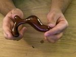 An Orgasmic Romp
