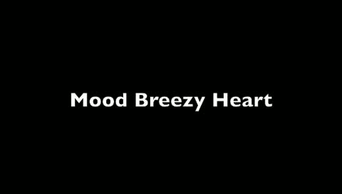Mood Breezy Heart Massager Review