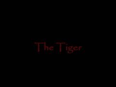 G4 Tiger Vibrator Review