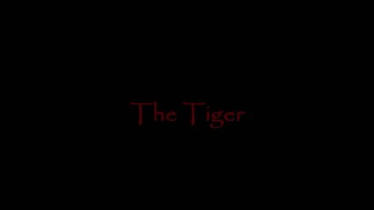 G4 Tiger Vibrator Review